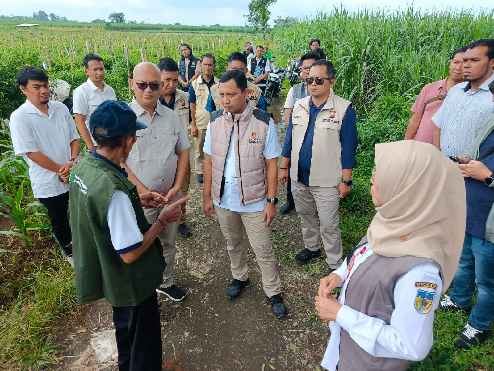 Satgas Saber Pelanggaran Pangan Pusat Pantau Pasokan dan Harga Jelang Idul Fitri di Jawa Timur, Ini Hasilnya?