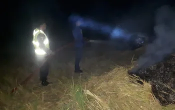 WhatsApp Image 2026 04 09 at 17.14.39