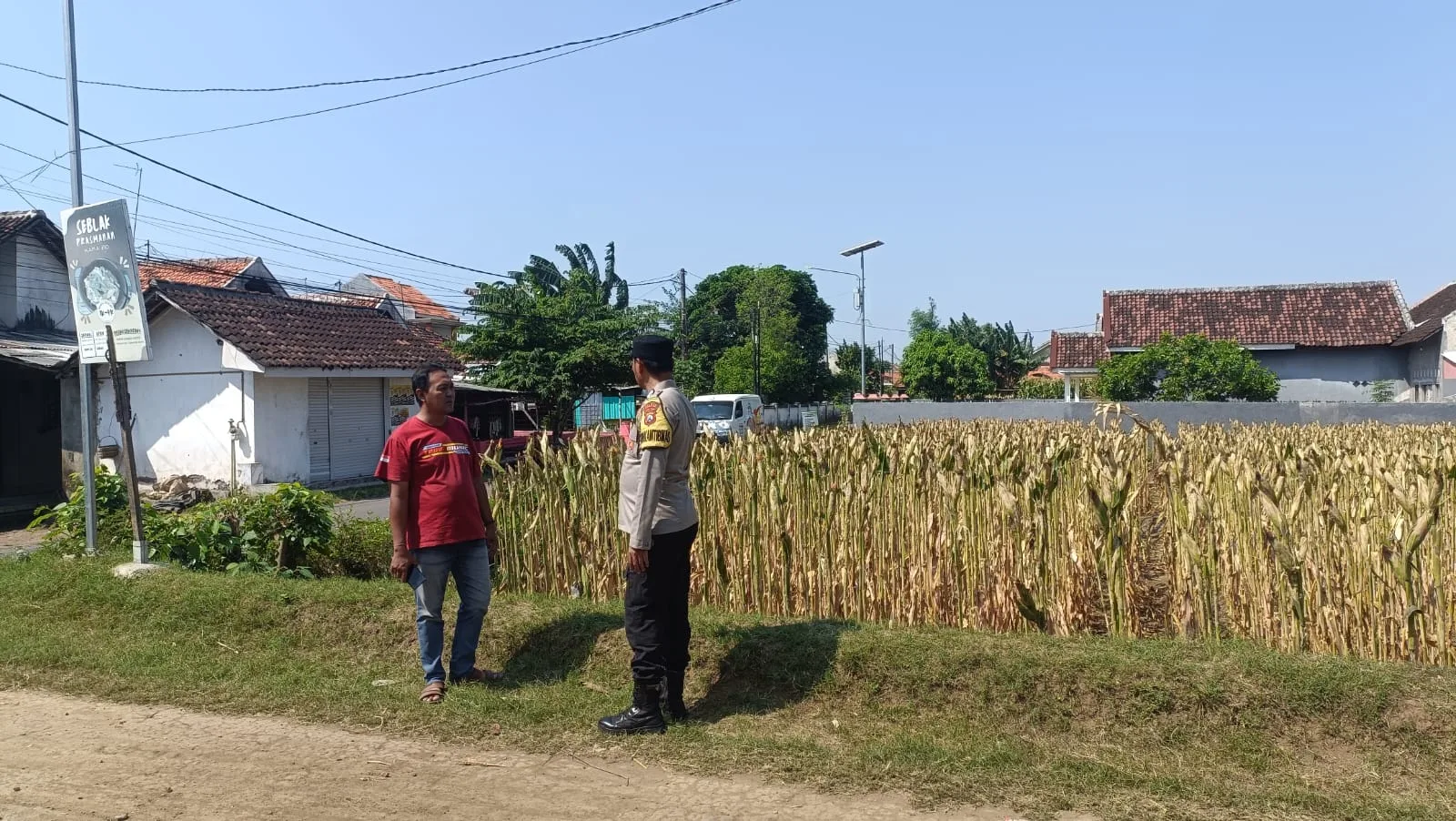 Polisi Sambangi Petani Jagung di Triwung Kidul, Perkuat Ketahanan Pangan Nasional