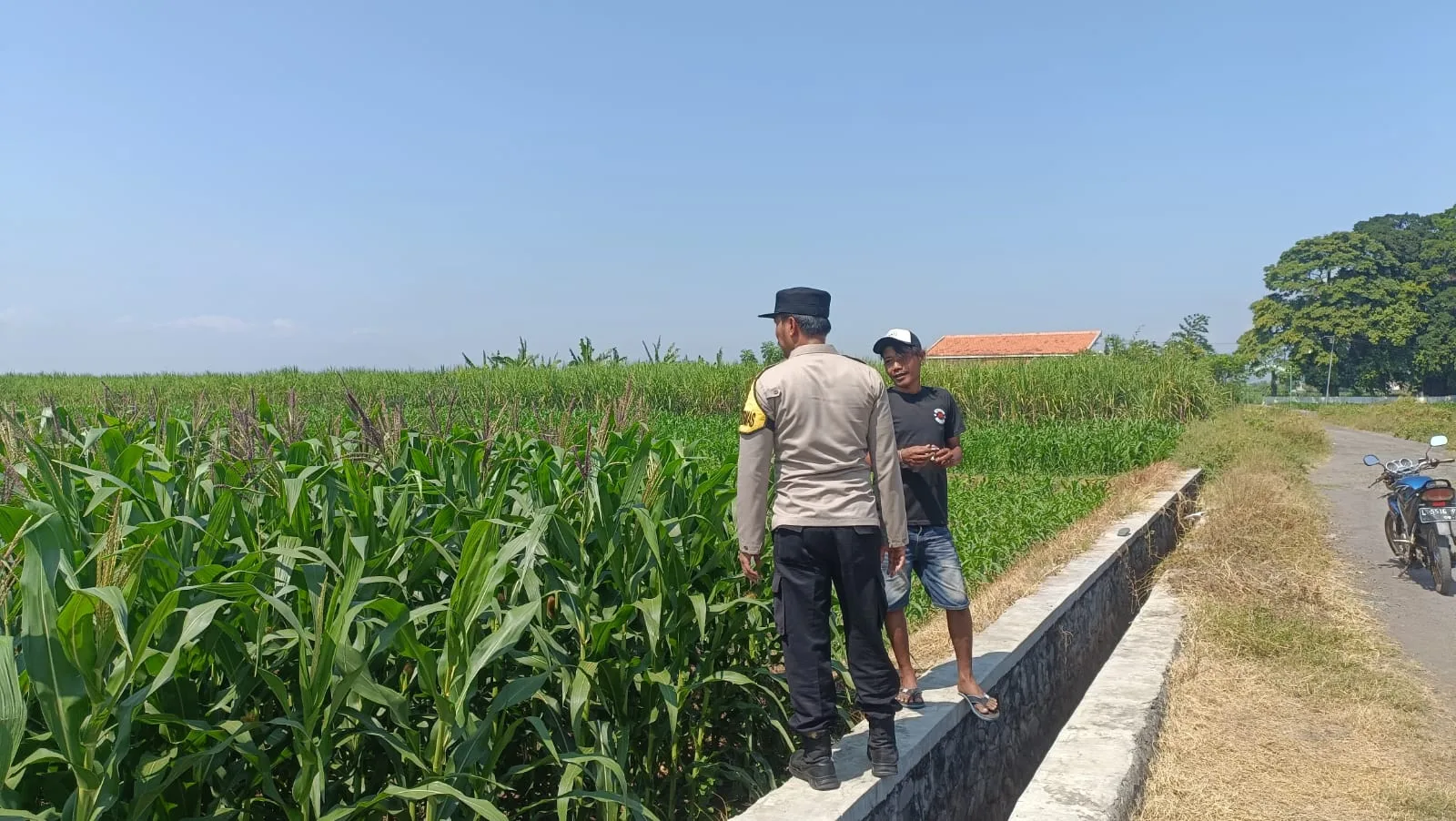 Polisi Sambangi Petani Jagung di Kademangan, Perkuat Program Ketahanan Pangan Nasional