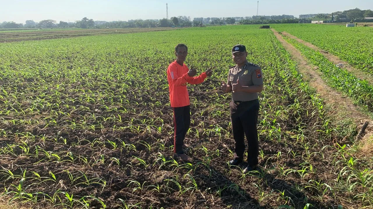 Bhabinkamtibmas Kademangan Sambangi Petani, Perkuat Ketahanan Pangan dan Jaga Kamtibmas