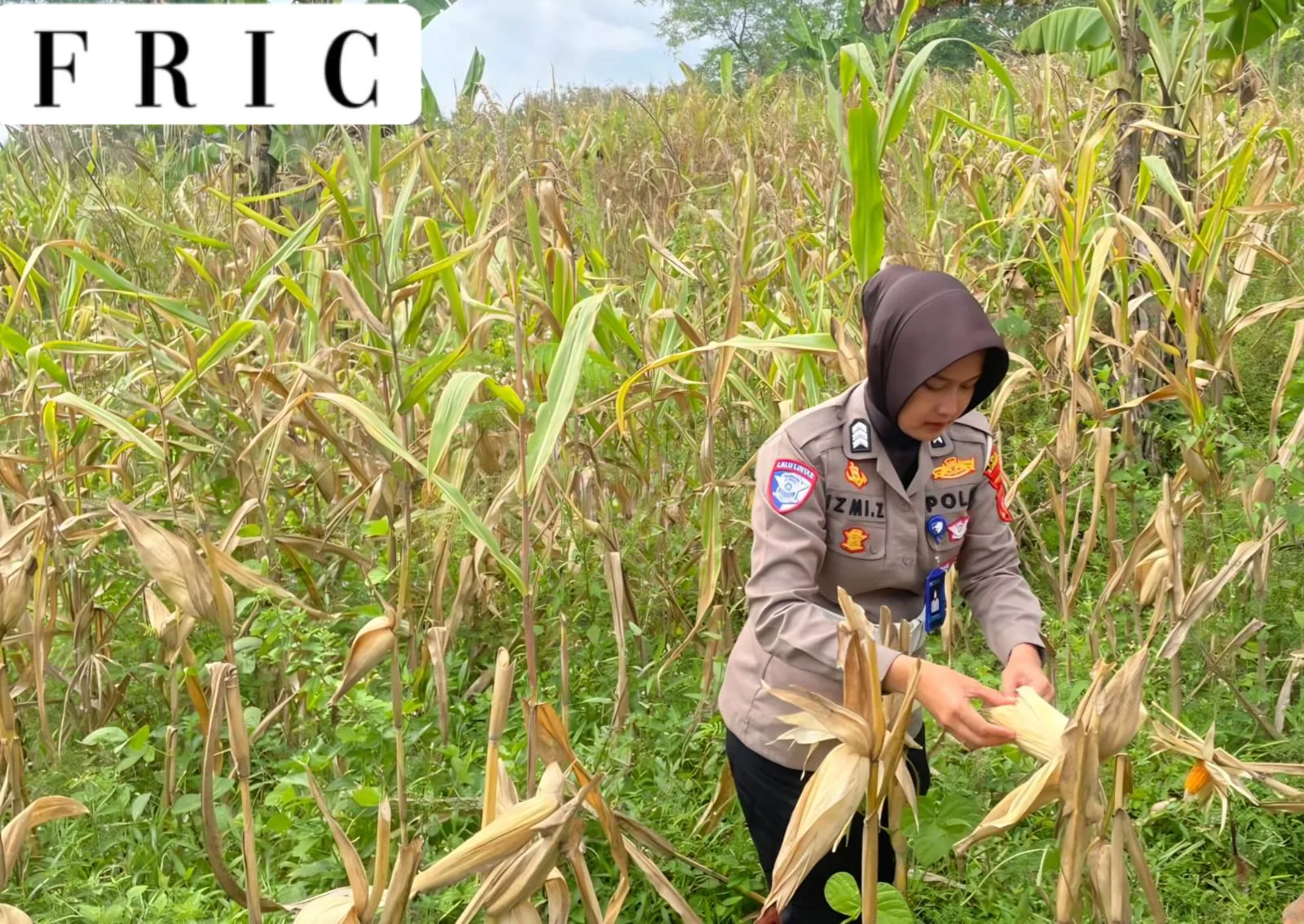 Satlantas Polres Kuningan Cek Kesiapan Panen Jagung di Desa Cibulan
