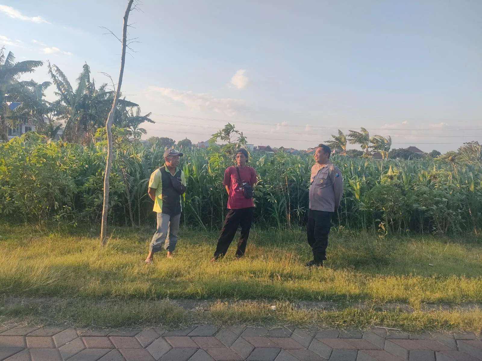 Patroli Polsubsektor Kanigaran Sambangi Petani Jagung, Perkuat Kamtibmas dan Dukung Ketahanan Pangan