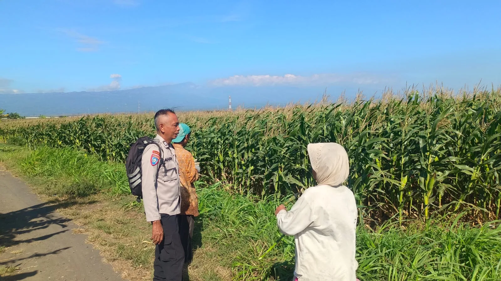 Polsek Sumberasih Intensif Dampingi Petani Jagung, Perkuat Ketahanan Pangan Nasional