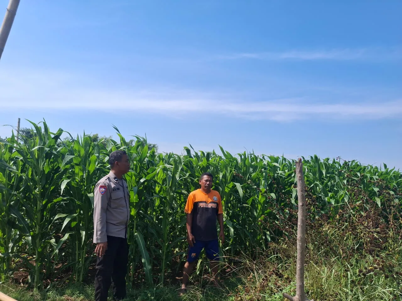 Bhabinkamtibmas Sumber Wetan Ajak Petani Dukung Program Ketahanan Pangan Nasional