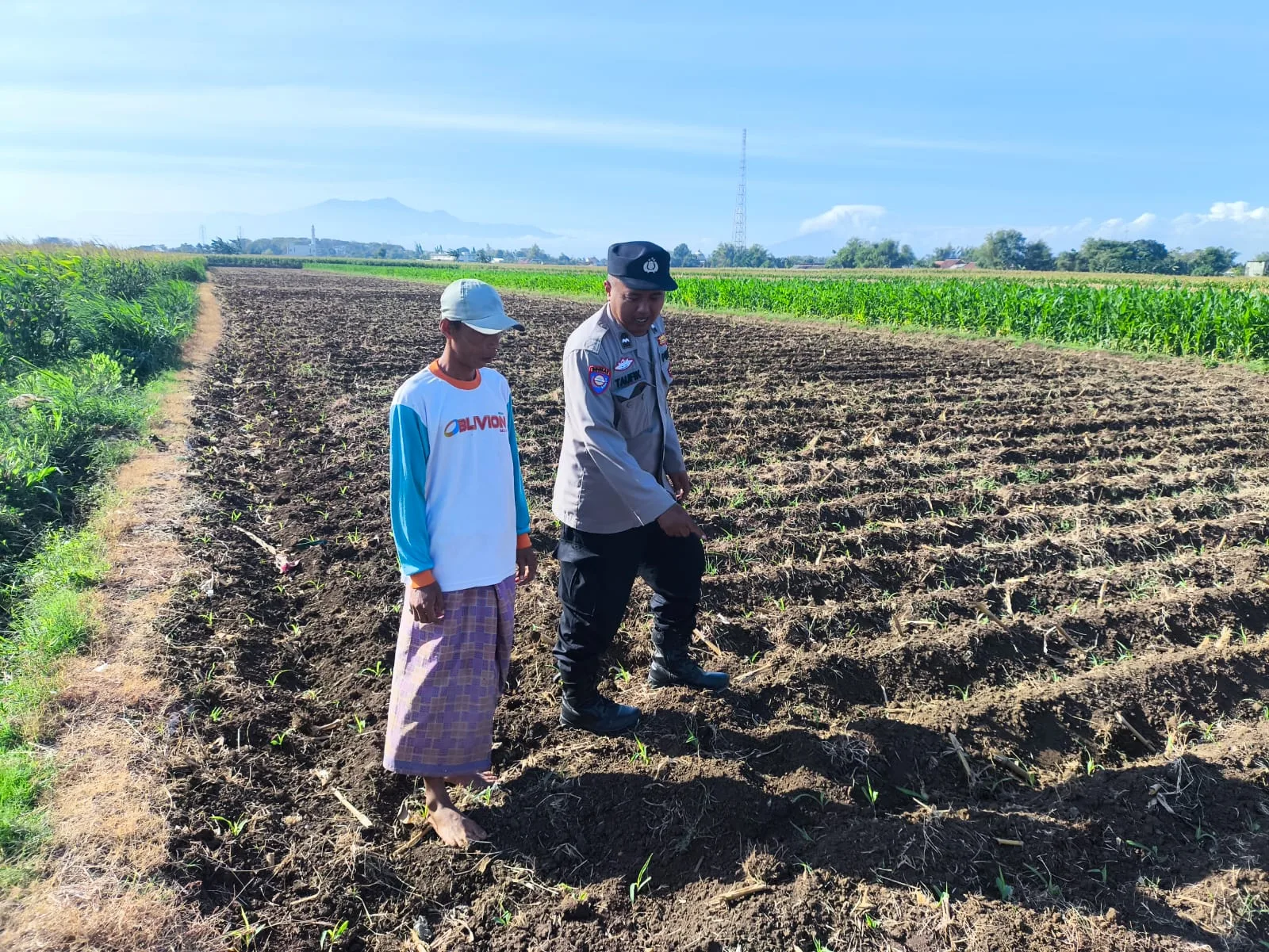 Polisi Pantau Lahan Jagung 4.000 Meter Persegi di Kedopok, Perkuat Ketahanan Pangan Nasional