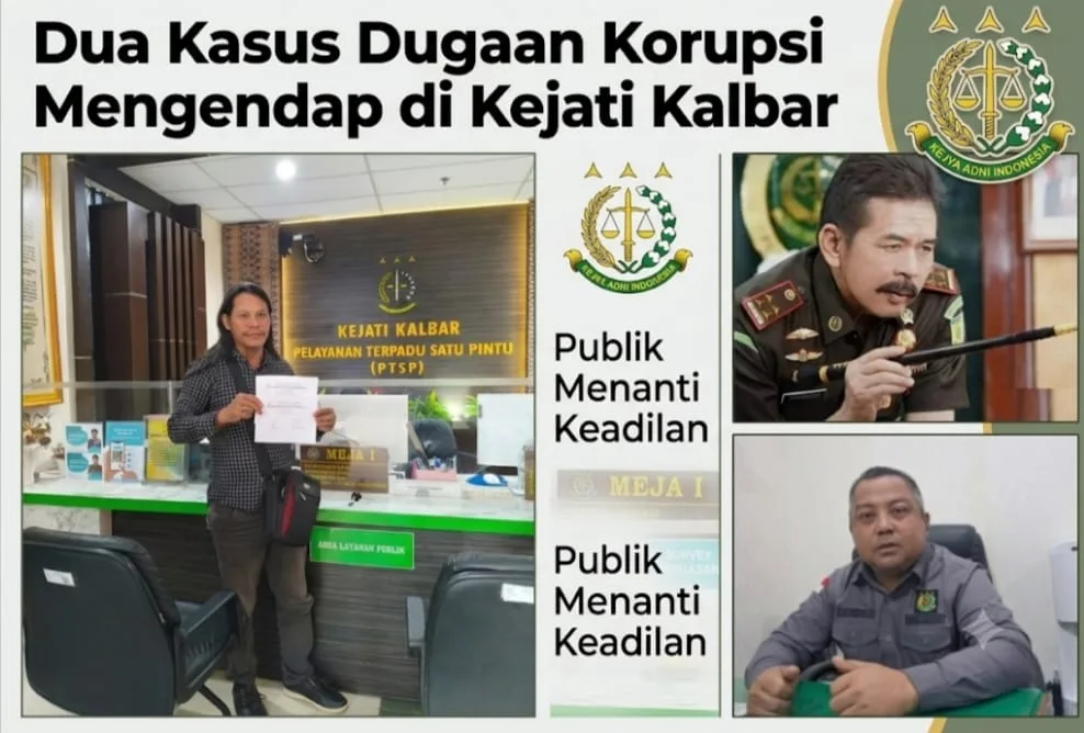 WhatsApp Image 2026 07 30 at 07.00.32 (1)