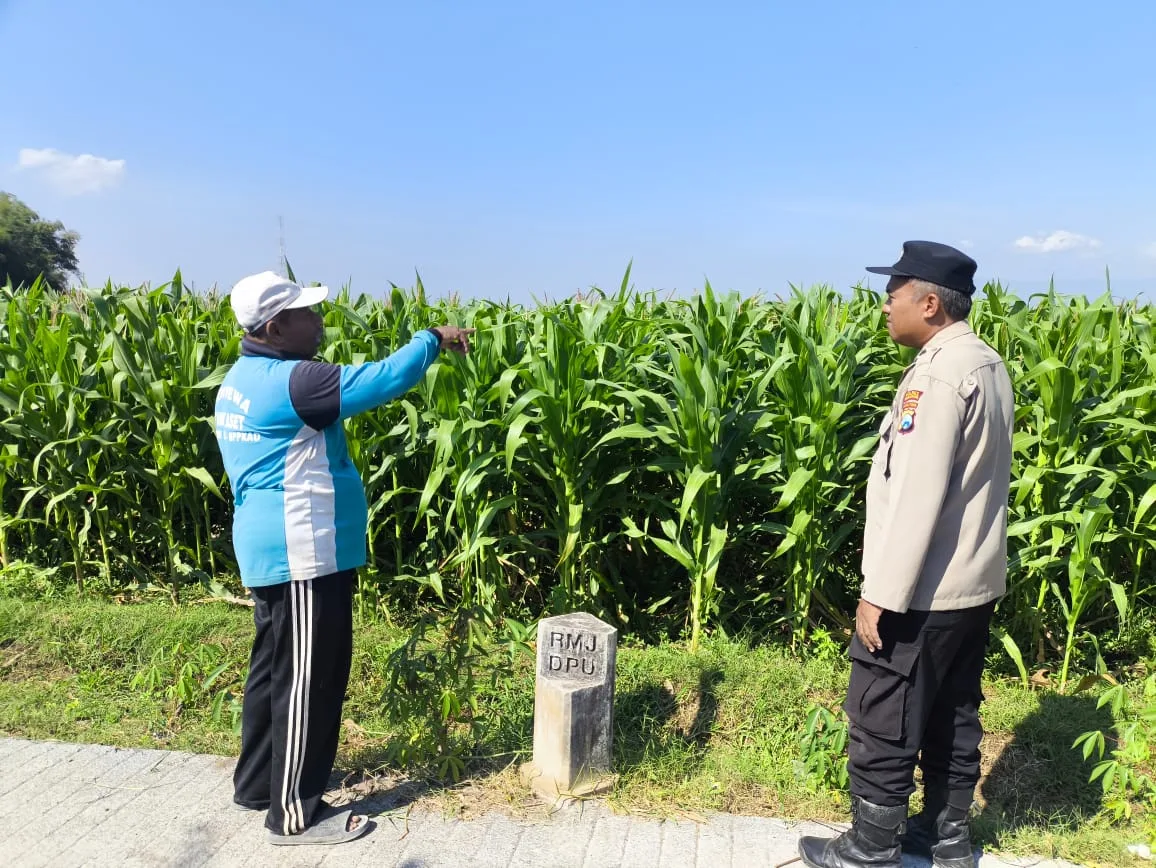 Polisi Sambangi Lahan Jagung di Kedopok, Ajak Warga Sukseskan Program Ketahanan Pangan Nasional