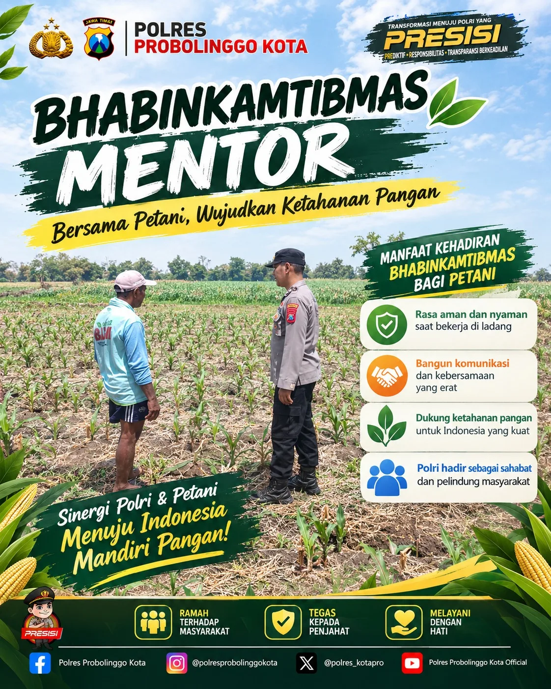 Polisi Pantau Lahan Jagung 20 Hektare di Sumberasih Probolinggo, Panen Desember
